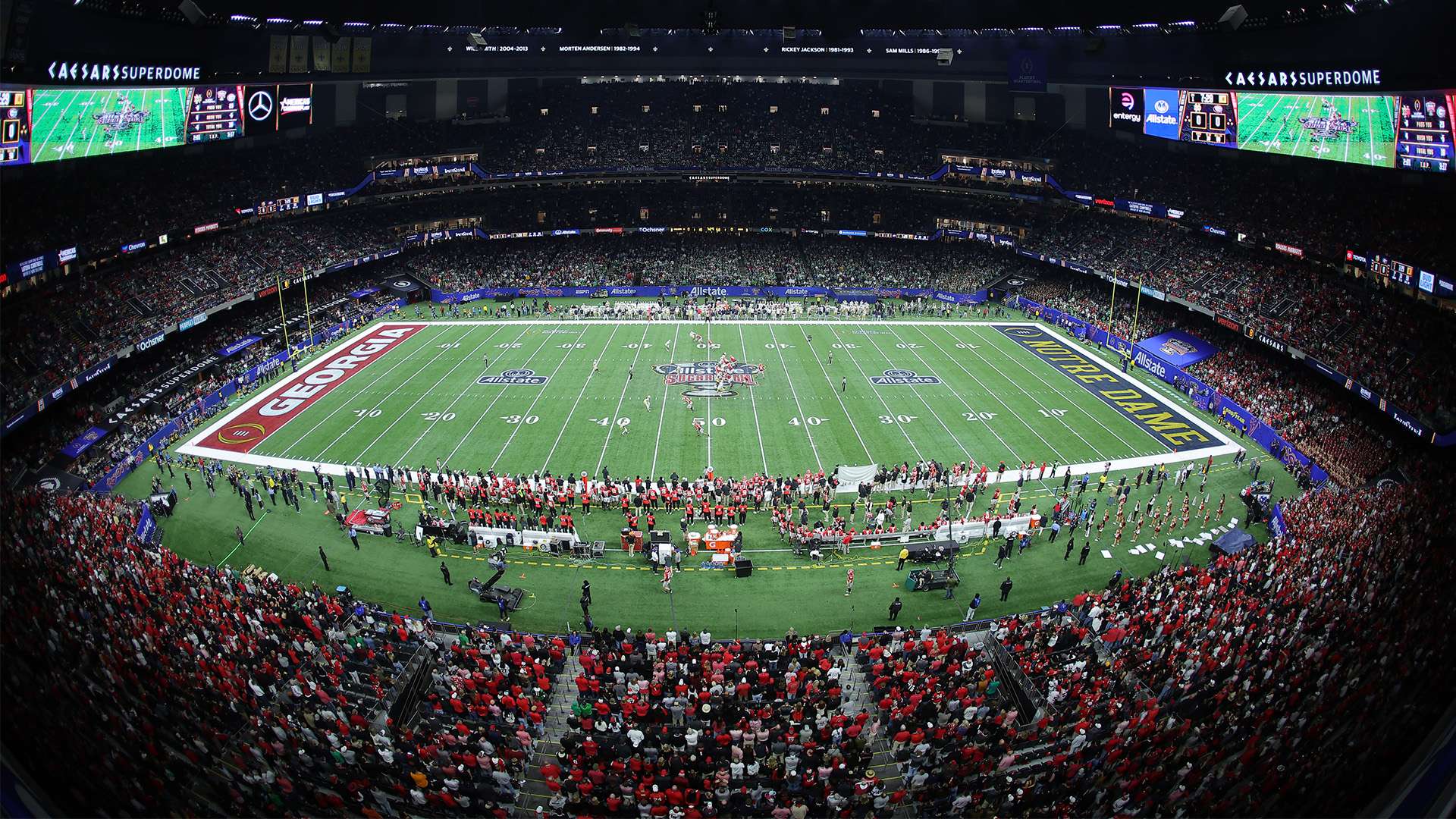 拥有一座象 拥有一座象