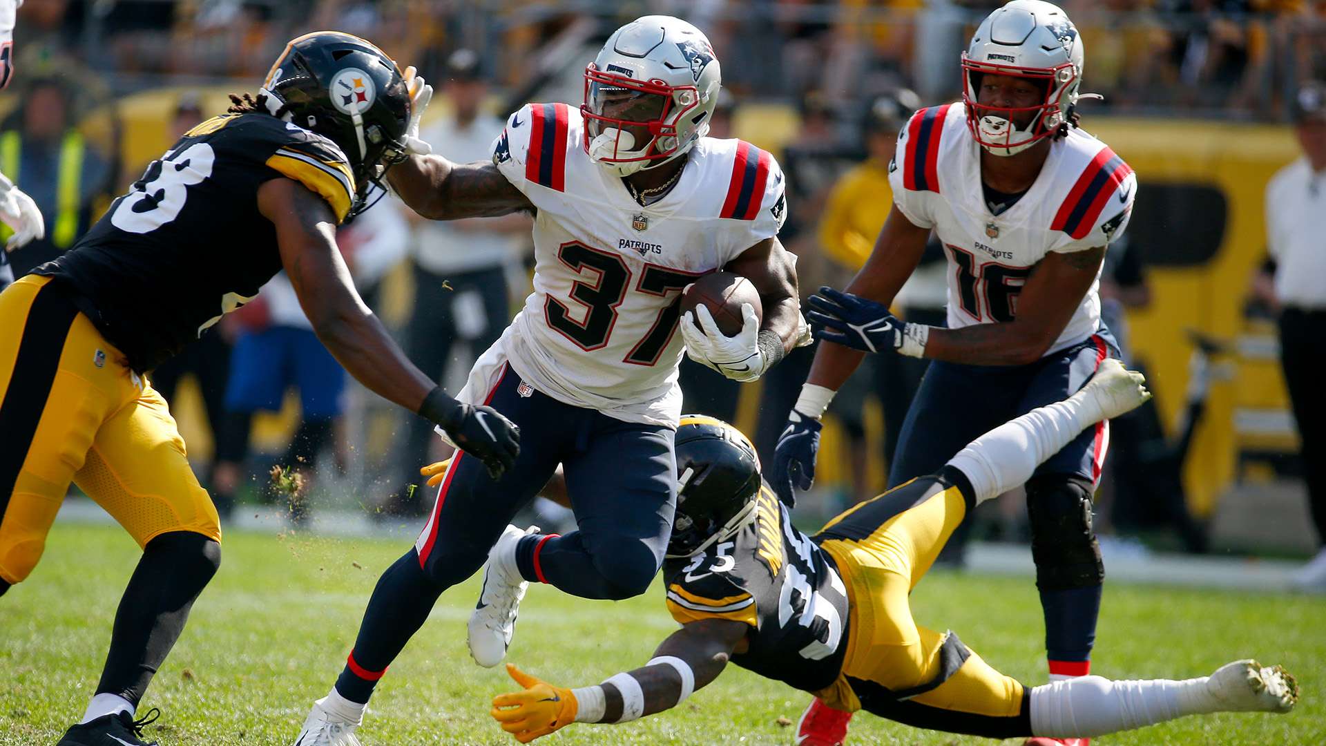 利用莱奥的 利用莱奥的